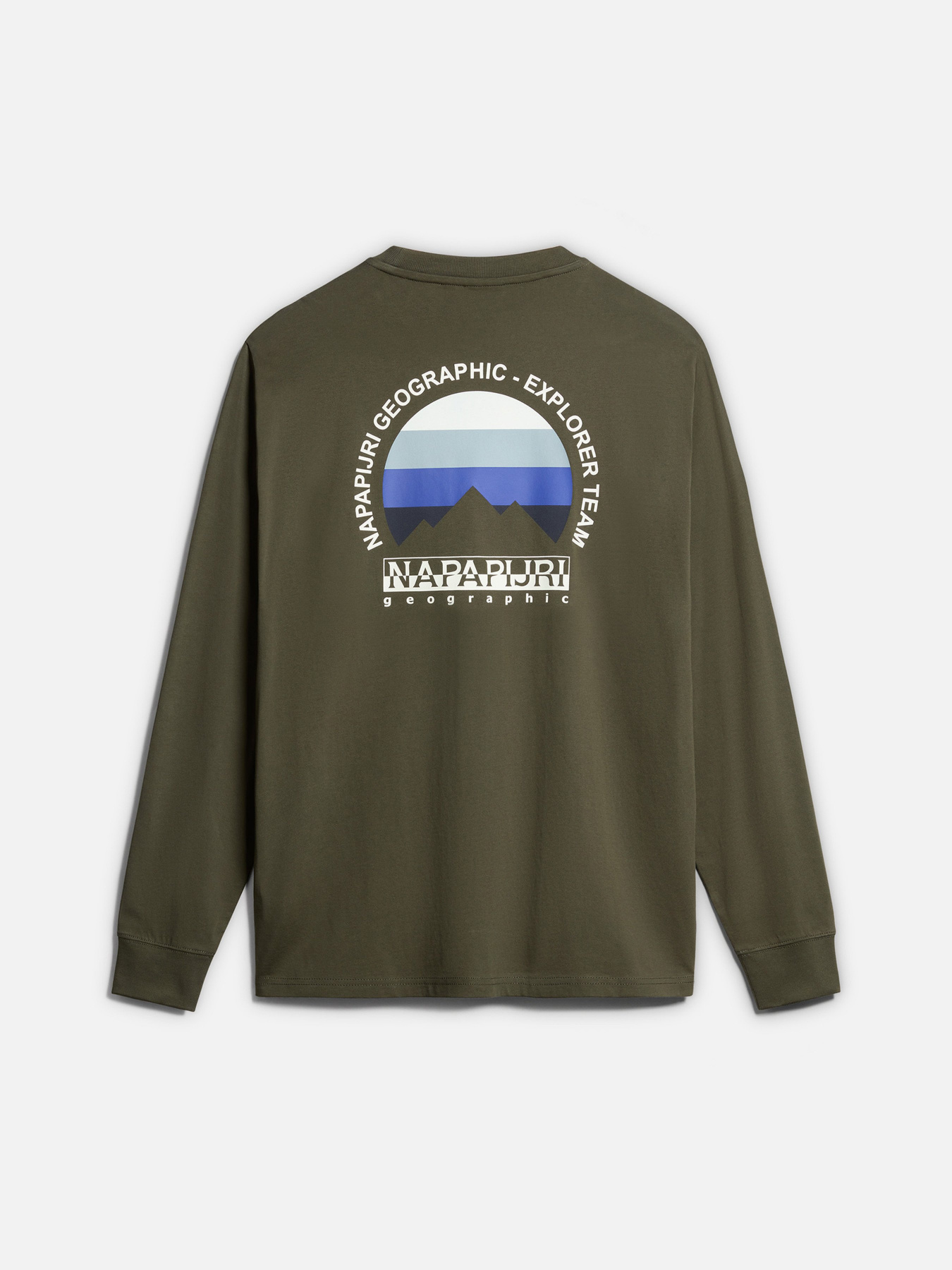 Лонгслів Napapijri Telemark модель NP0A4HREGE41 Фото
