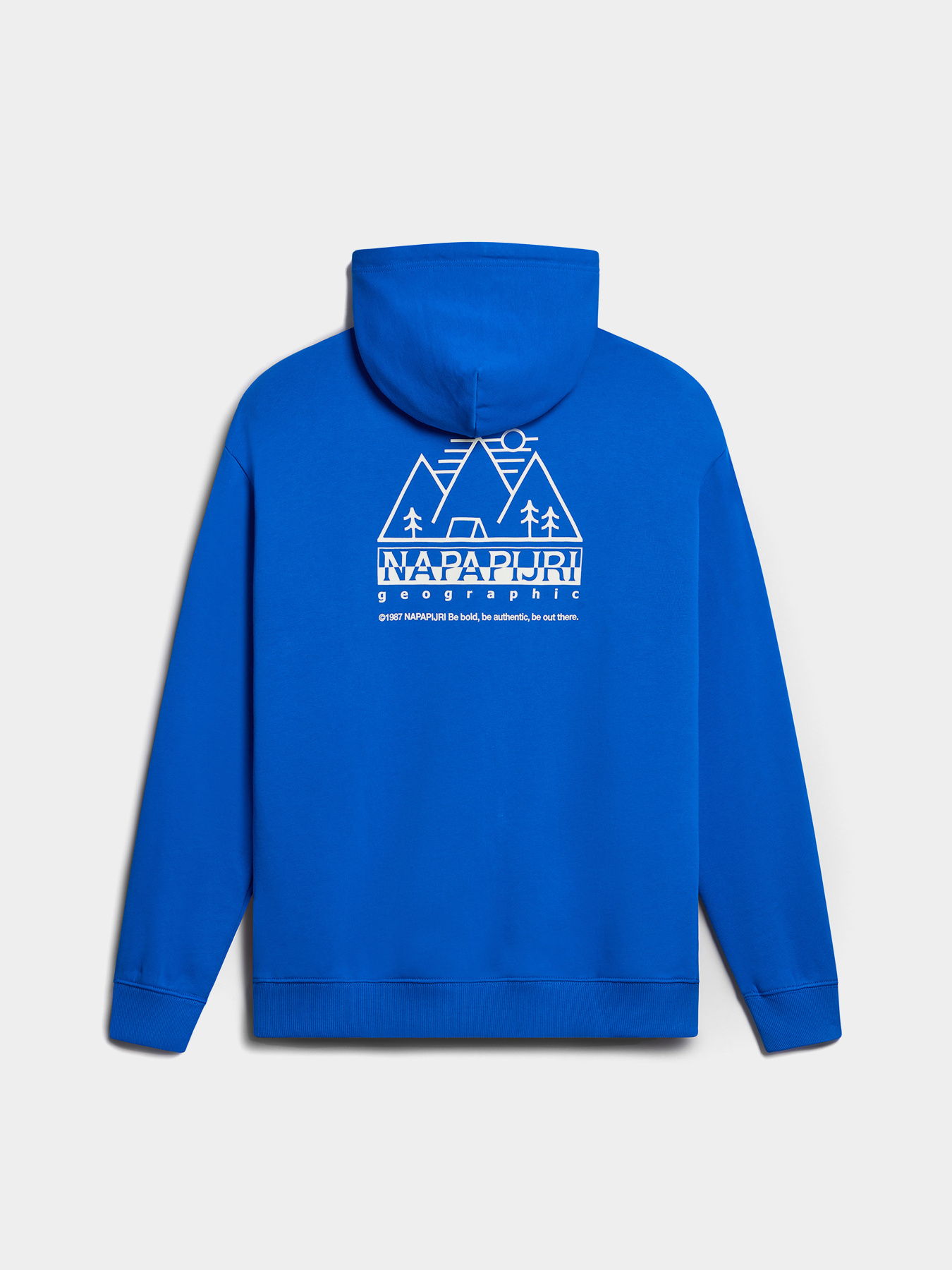 Худи Napapijri B-Faber H модель NP0A4HOZB2L1 Фото