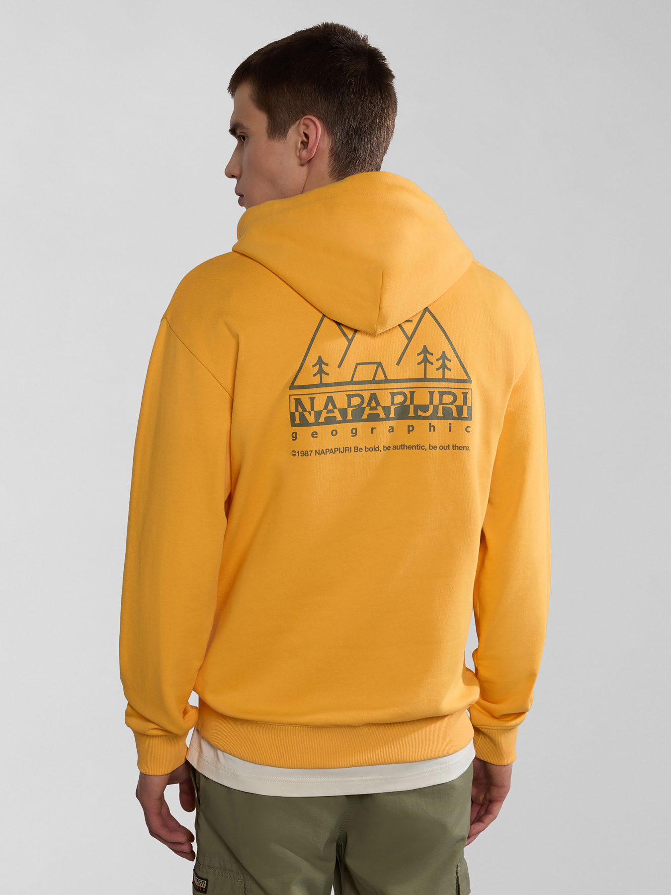 Худи Napapijri B-Faber H модель NP0A4HOZY1J1 Фото