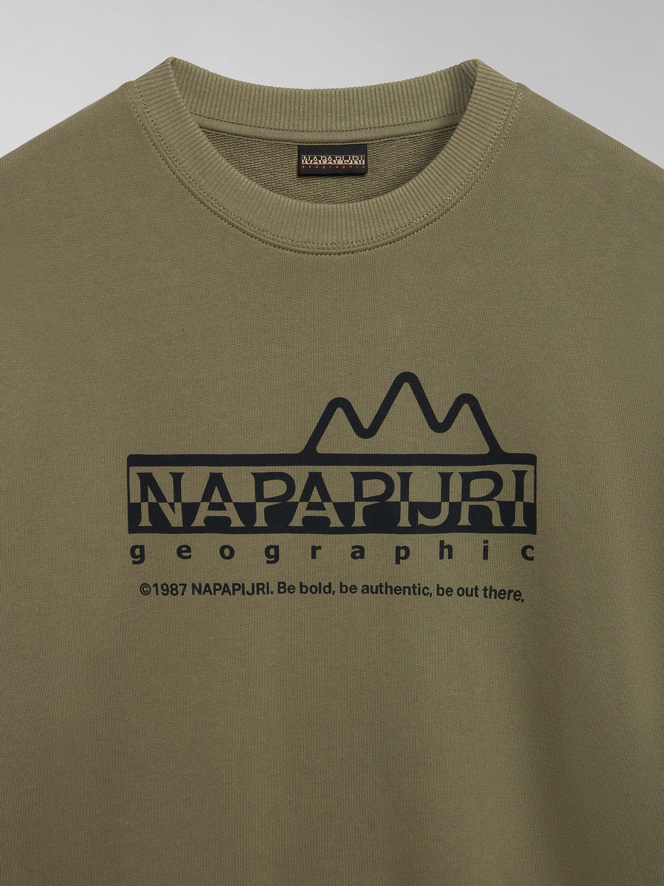 Свитшот Napapijri B-Faber C модель NP0A4HP1GAE1 Фото