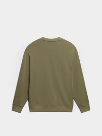 Свитшот Napapijri B-Faber C модель NP0A4HP1GAE1 Фото