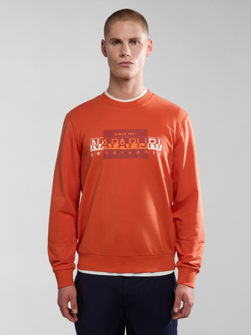 Свитшот Napapijri B-Smallwood C модель NP0A4HP5A621 Фото