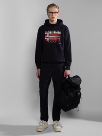 Худи Napapijri B-Kreis H модель NP0A4HPE0411 Фото