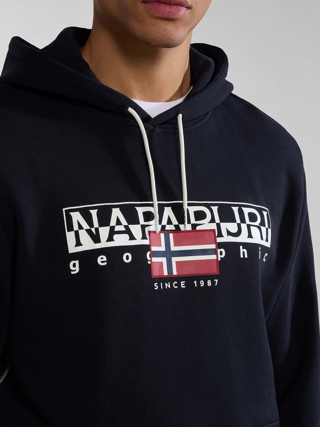 Худи Napapijri B-Aylmer модель NP0A4HTL0411 Фото