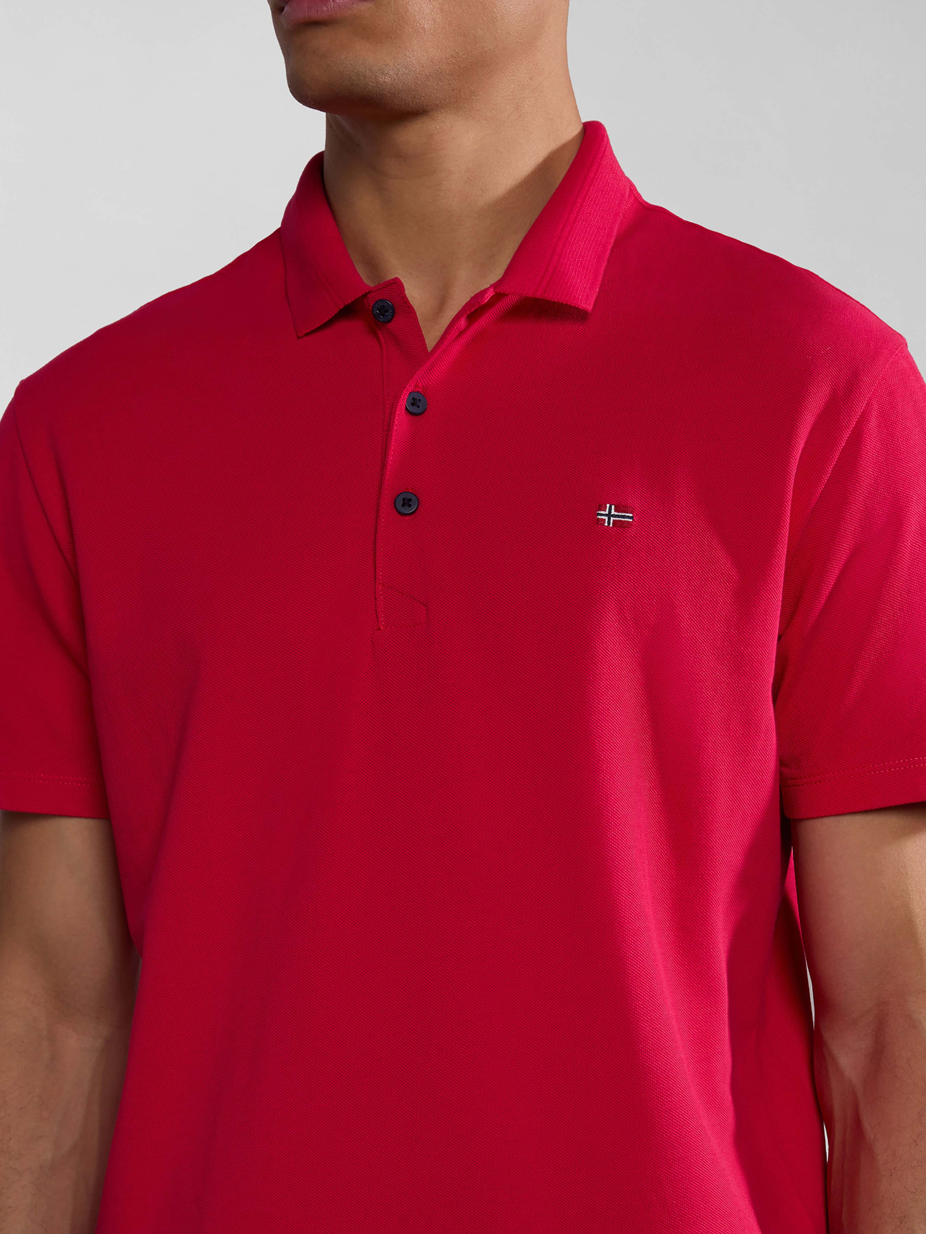 Поло Napapijri Ealis Ss Sum модель NP0A4H8BR251 Фото