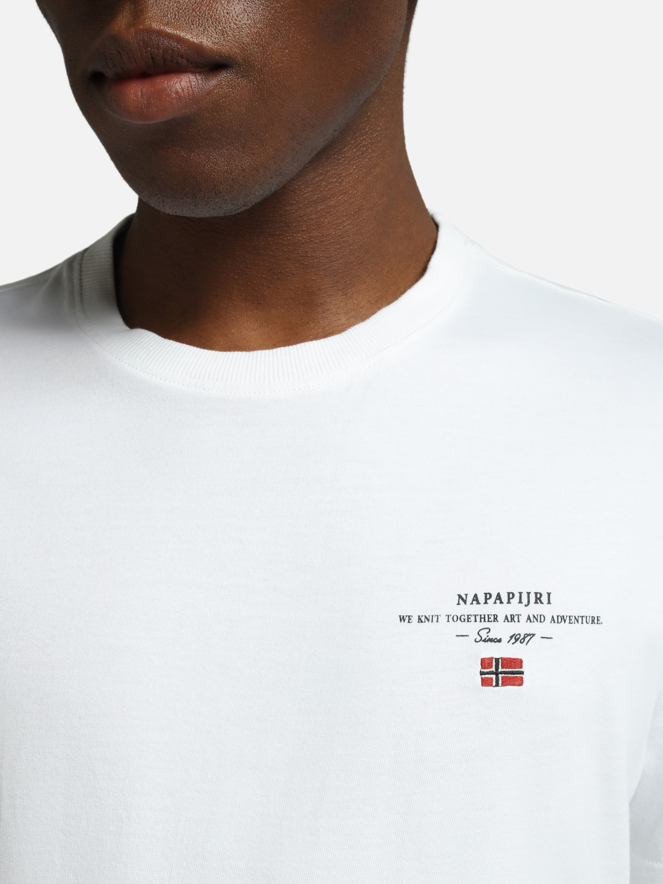 Футболка Napapijri Selbas модель NP0A4GBQ0021 Футболка Napapijri Selbas модель NP0A4GBQ0021 Фото