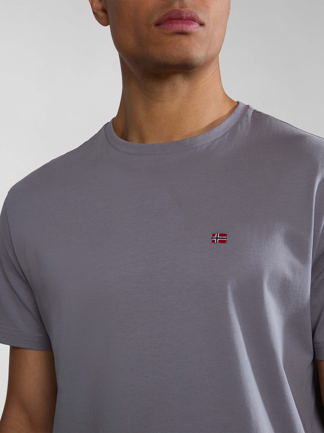 Футболка Napapijri Salis Ss Sum модель NP0A4H8DH581 Футболка Napapijri Salis Ss Sum модель NP0A4H8DH581 Фото