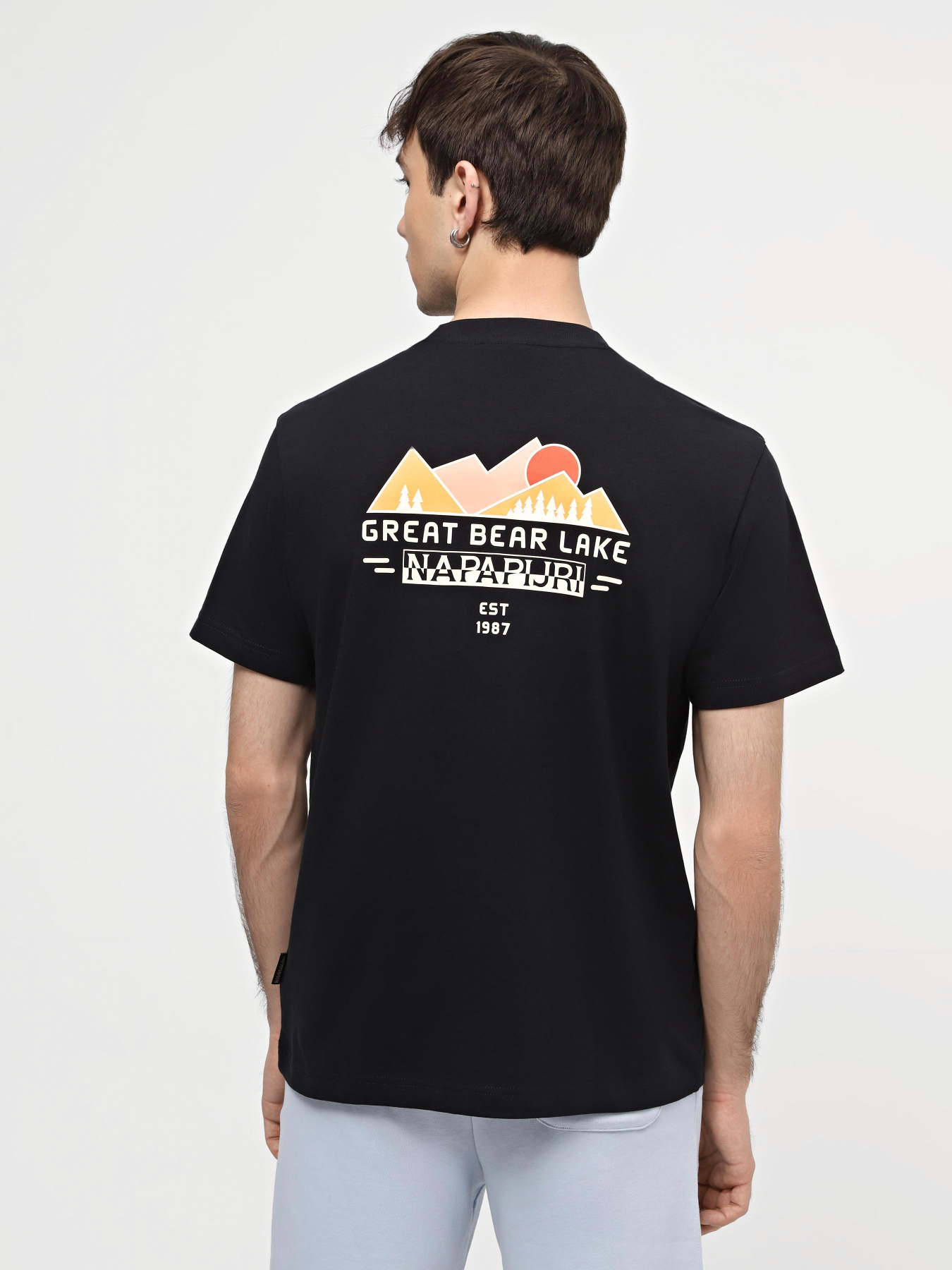 Футболка Napapijri S-Tahi модель NP0A4HQA0411 Фото