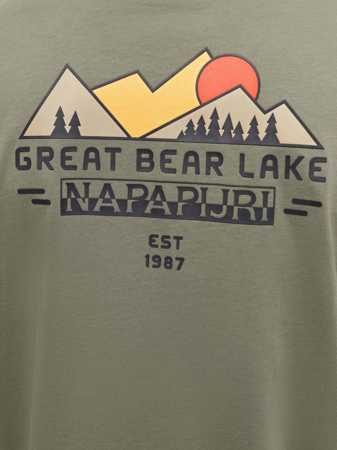 Футболка Napapijri S-Tahi модель NP0A4HQAGAE1 Футболка Napapijri S-Tahi модель NP0A4HQAGAE1 Фото