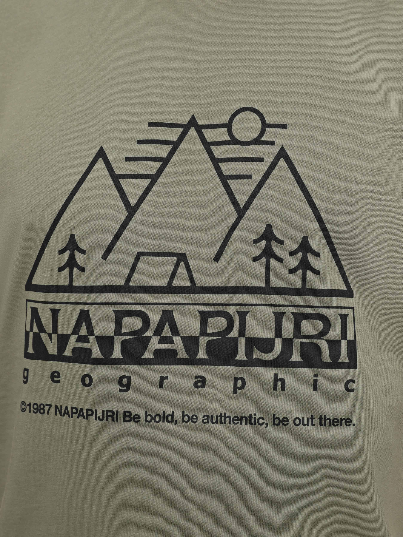 Футболка Napapijri S-Faber модель NP0A4HQEGAE1 Фото