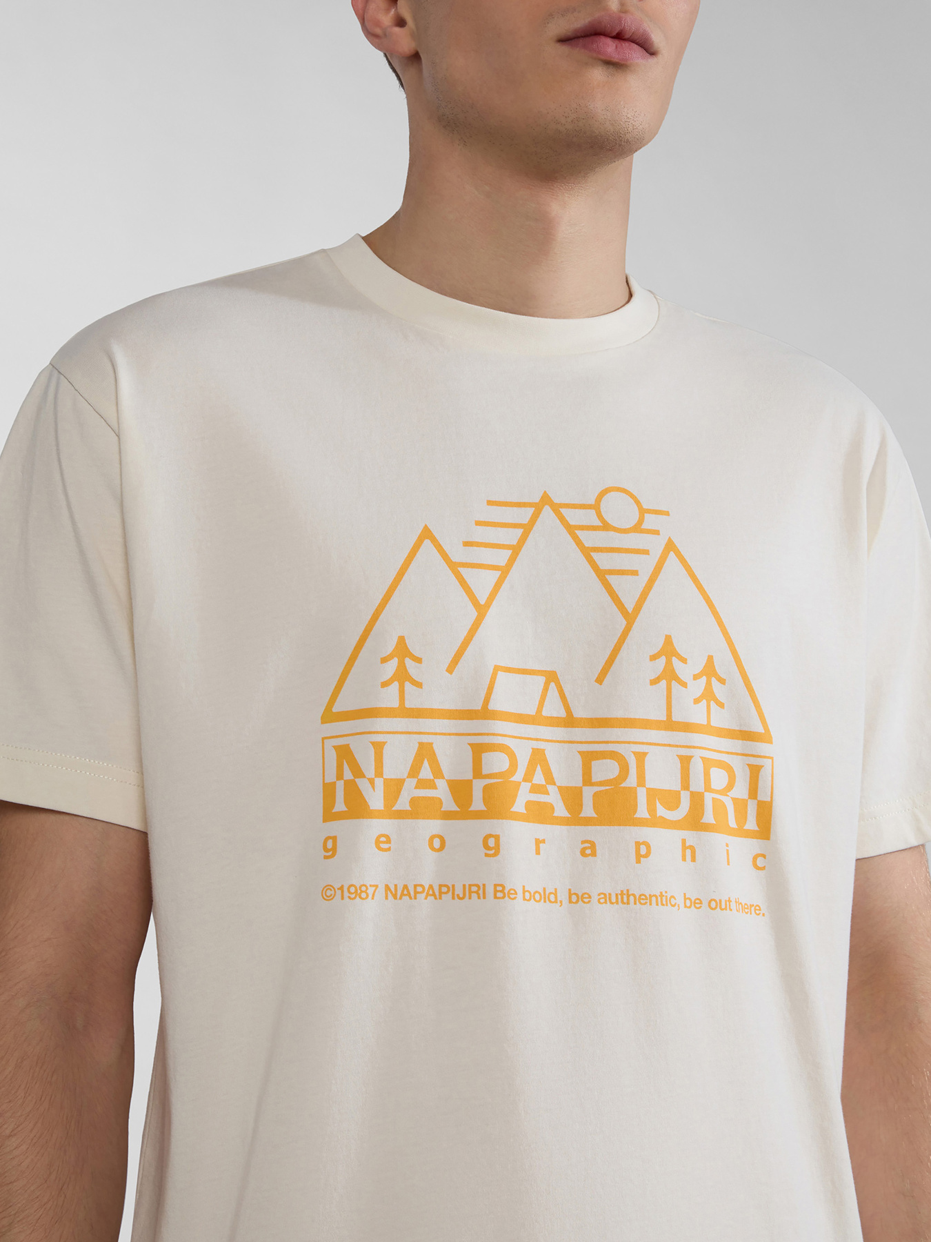 Футболка Napapijri S-Faber модель NP0A4HQEN1A1 Фото