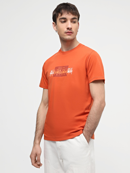 Футболка Napapijri S-Smallwood модель NP0A4HQKA621 Фото