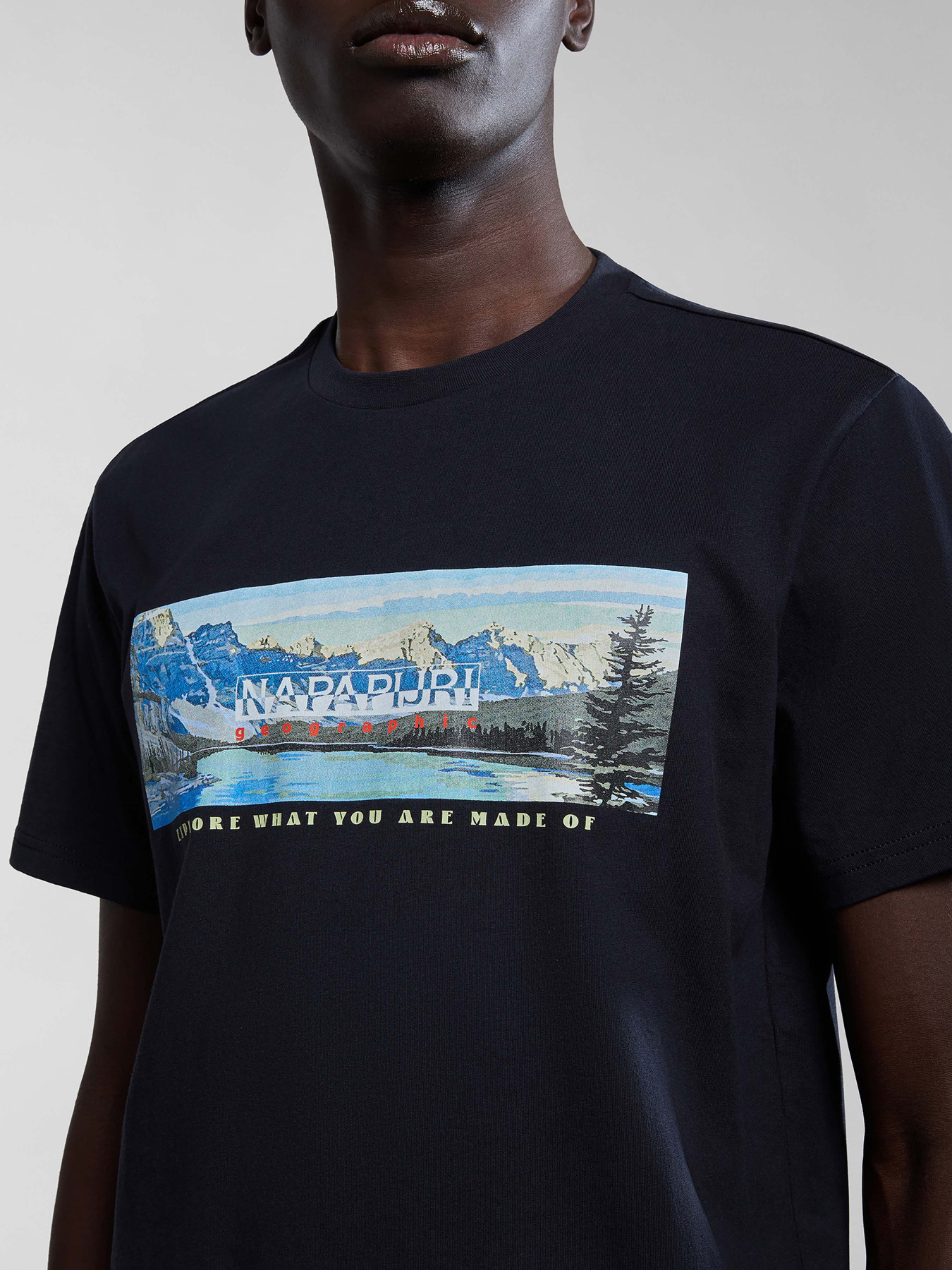 Футболка Napapijri S-Canada модель NP0A4HQM0411 Футболка Napapijri S-Canada модель NP0A4HQM0411 Фото