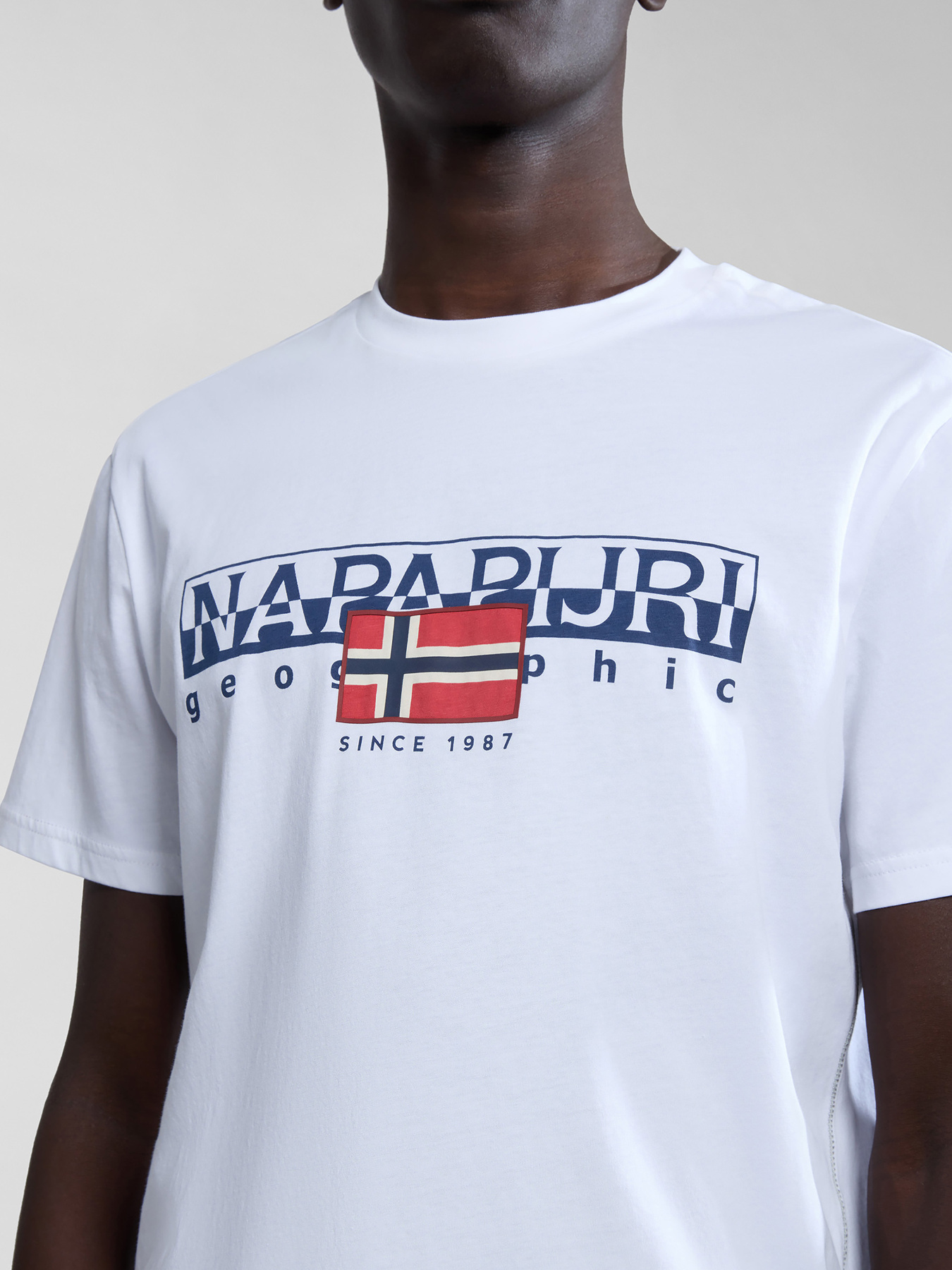 Футболка Napapijri S-Aylmer модель NP0A4HTO0021 Футболка Napapijri S-Aylmer модель NP0A4HTO0021 Фото