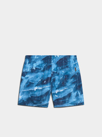 Шорты для плавания Napapijri V-Inuvik модель NP0A4HOOF4X1 Фото