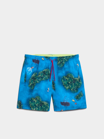 Шорти для плавання Napapijri V-Inuvik модель NP0A4HOOF5U1 Фото