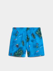 Шорти для плавання Napapijri V-Inuvik модель NP0A4HOOF5U1 Фото