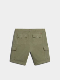 Повседневные шорты Napapijri B-Faber модель NP0A4HOSGAE1 Фото