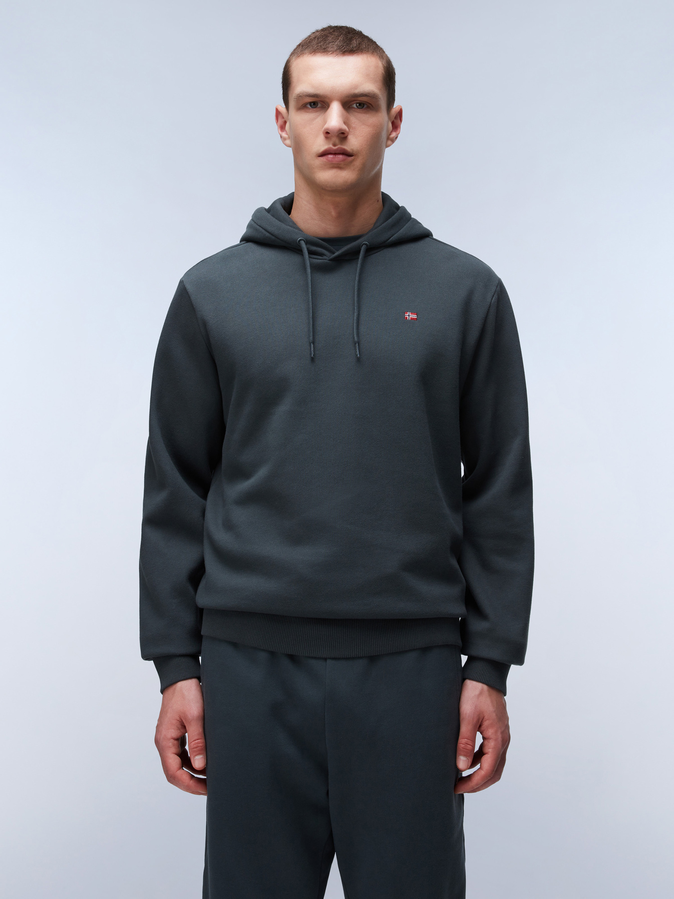 Худи Napapijri Balis Hood модель NP0A4FQVG1S1 Фото