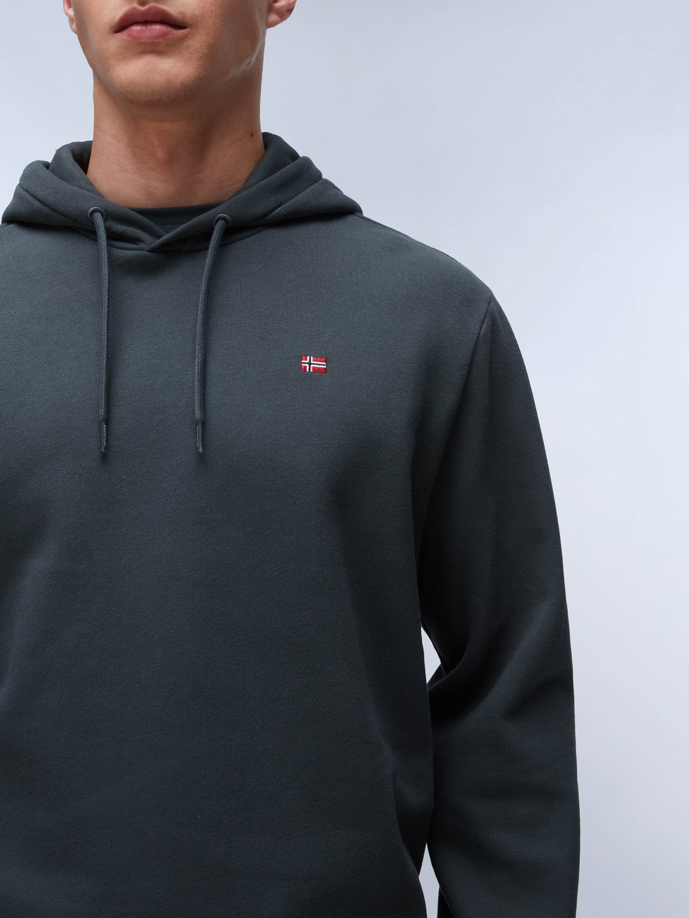 Худі Napapijri Balis Hood модель NP0A4FQVG1S1 Фото