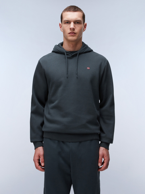 Худи Napapijri Balis Hood модель NP0A4FQVG1S1 Фото