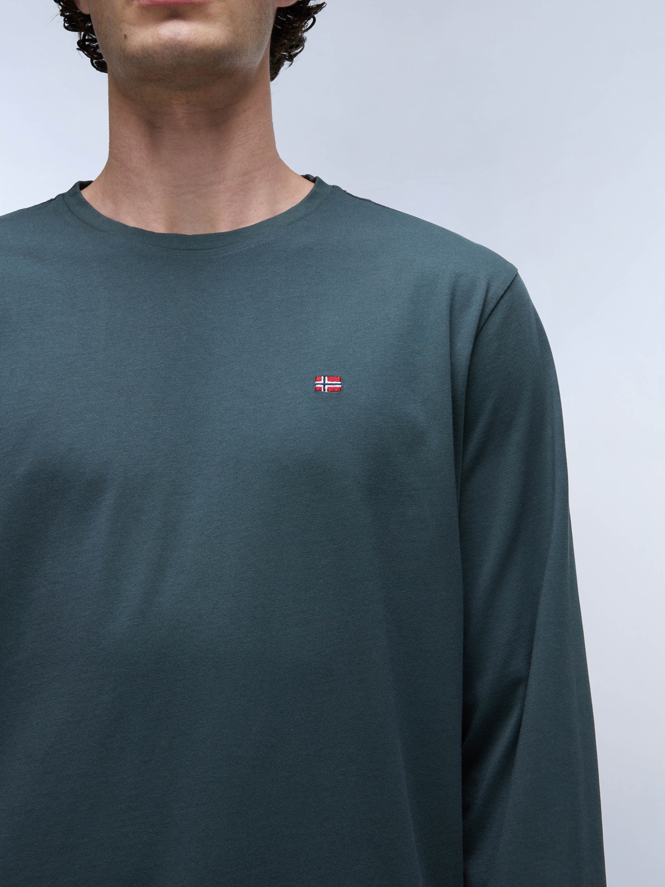 Лонгслив Napapijri Salis Ls 1 модель NP0A4HN7G1S1 Фото