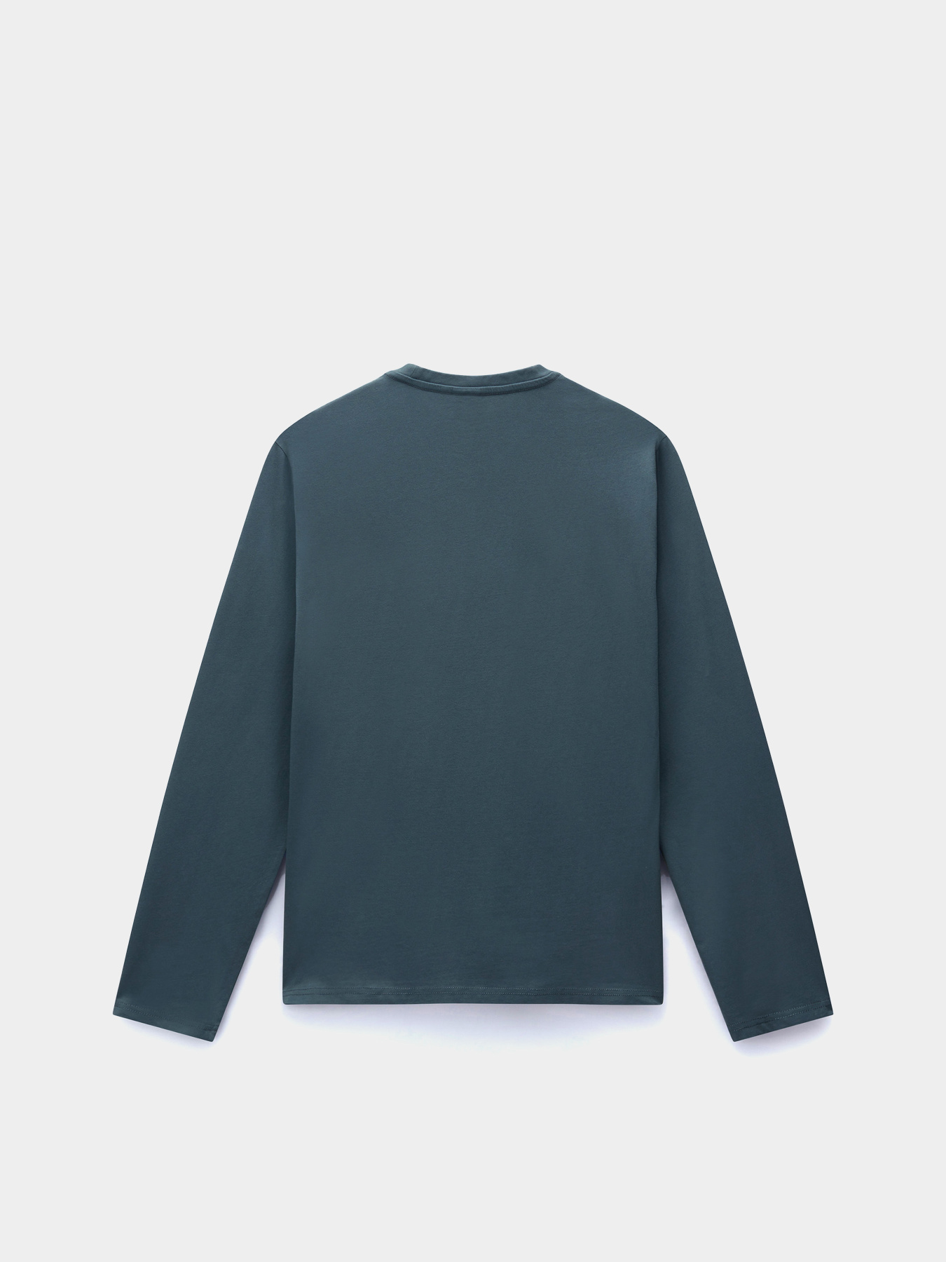 Лонгслив Napapijri Salis Ls 1 модель NP0A4HN7G1S1 Фото