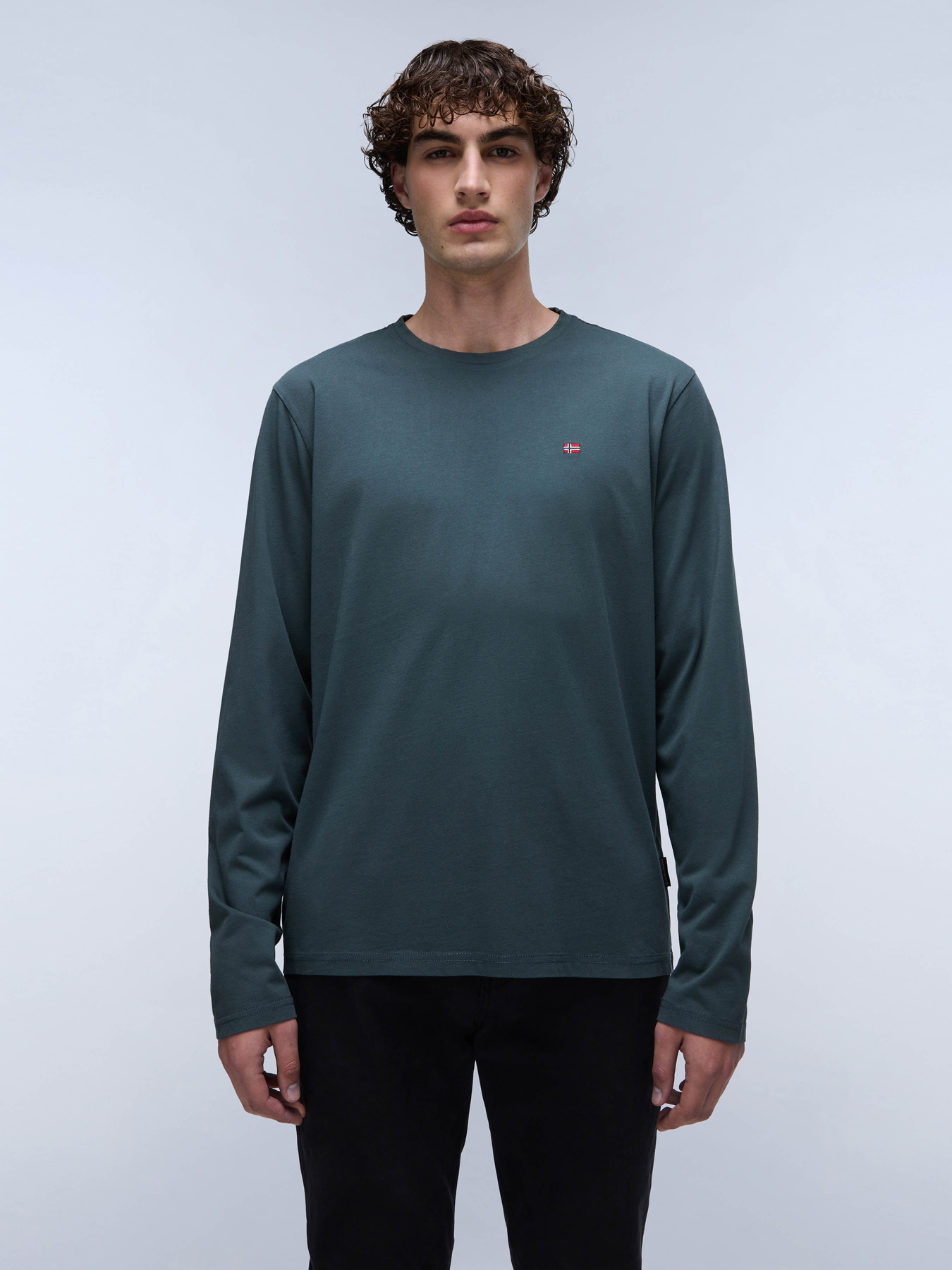 Лонгслів Napapijri Salis Ls 1 модель NP0A4HN7G1S1 Фото