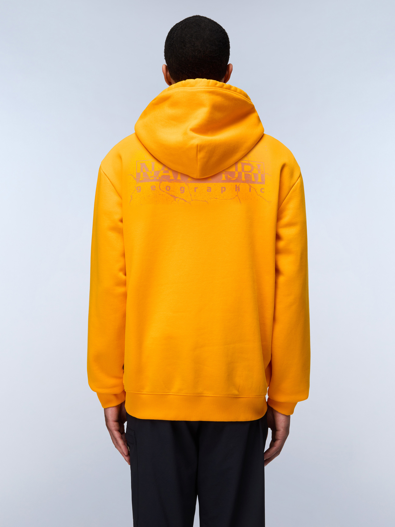 Худи Napapijri B-Albula модель NP0A4HZQA671 Фото