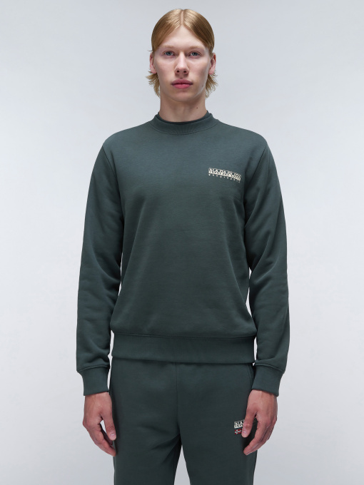 Свитшот Napapijri B-Fornet модель NP0A4HZSG1S1 Фото