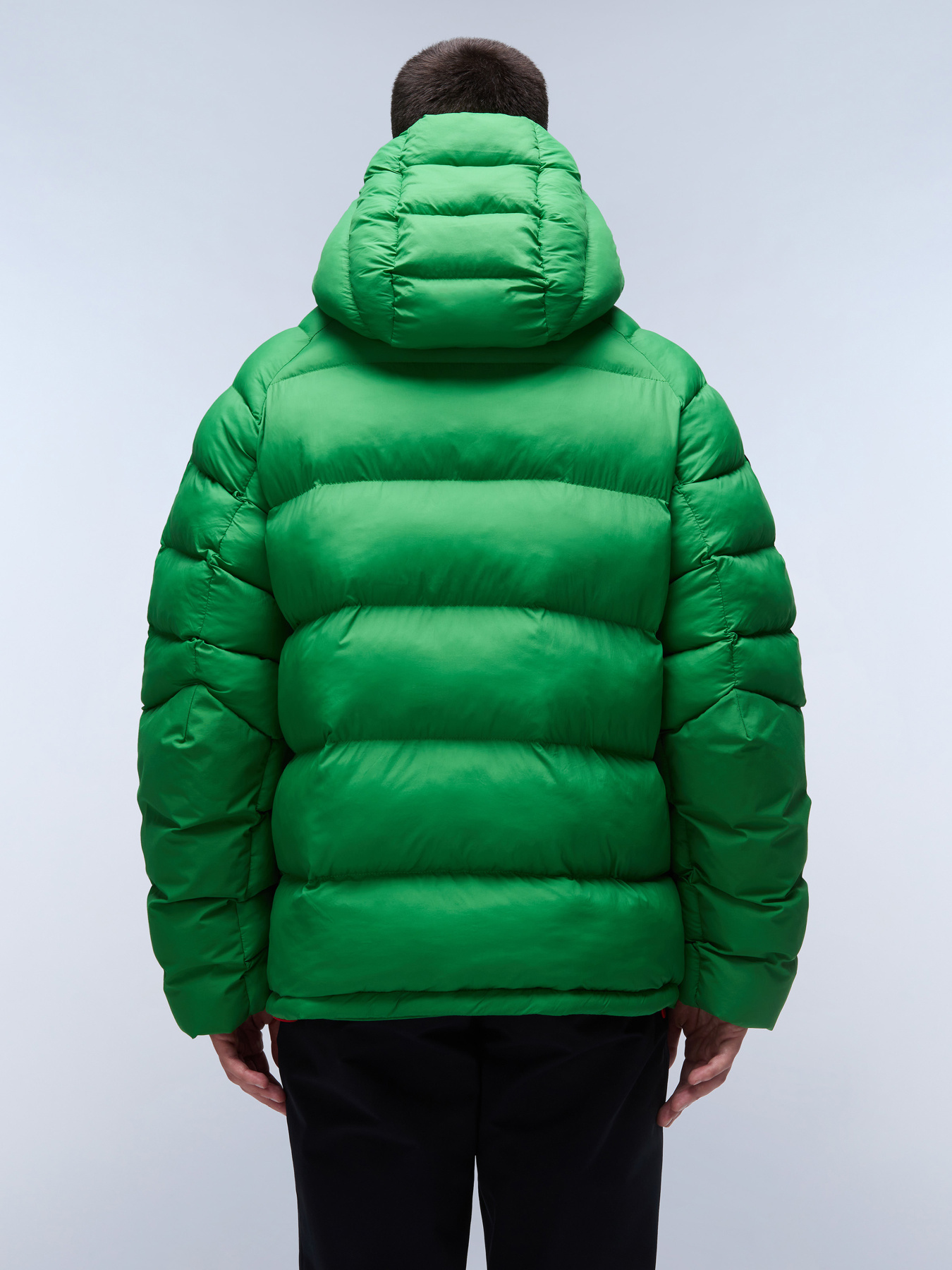 Зимняя куртка Napapijri A-Moesa Puf модель NP0A4I1RG1T1 Фото