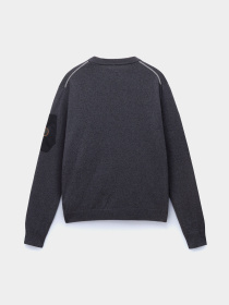 Джемпер Napapijri D-Gardy модель NP0A4I2C0411 Фото