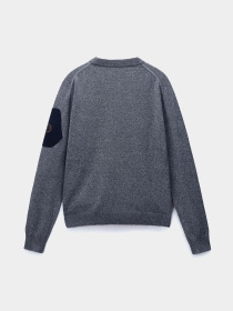 Джемпер Napapijri D-Gardy модель NP0A4I2CN1I1 Фото