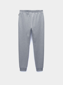 Штаны спортивные Napapijri M-Suze модель NP0A4I321601 Фото