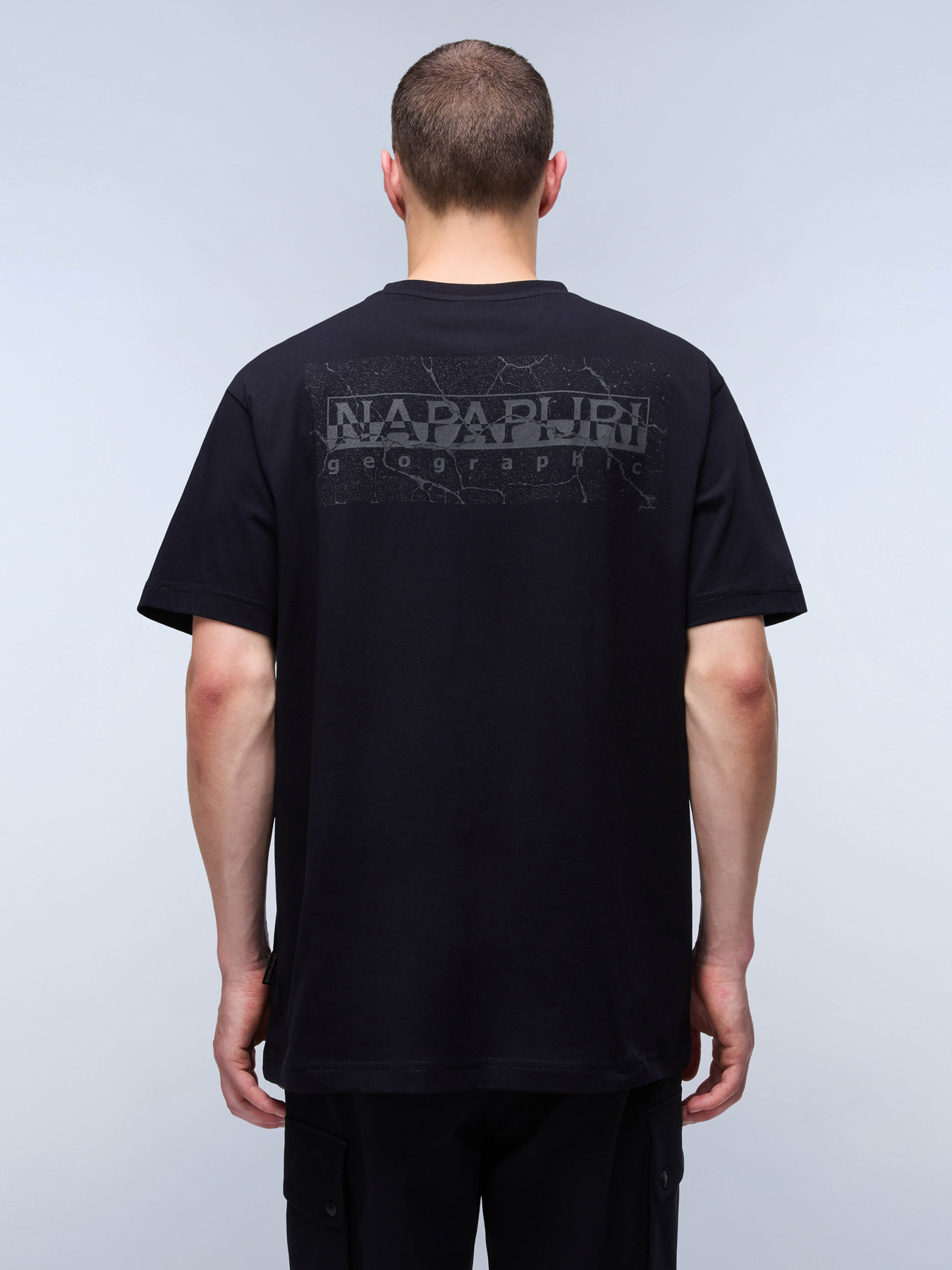 Футболка Napapijri S-Albula Ss модель NP0A4I340411 Фото