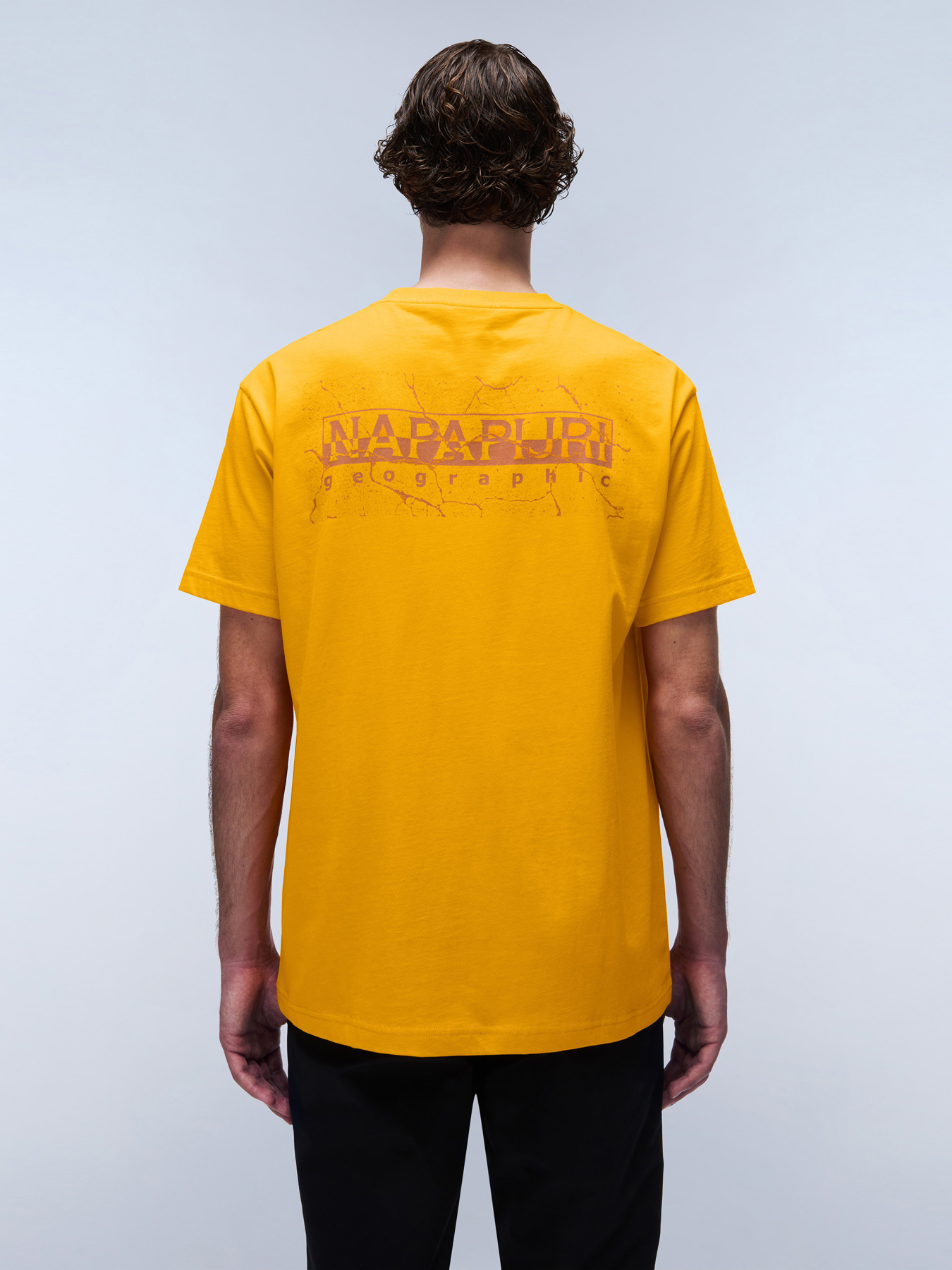 Футболка Napapijri S-Albula Ss модель NP0A4I34A671 Фото