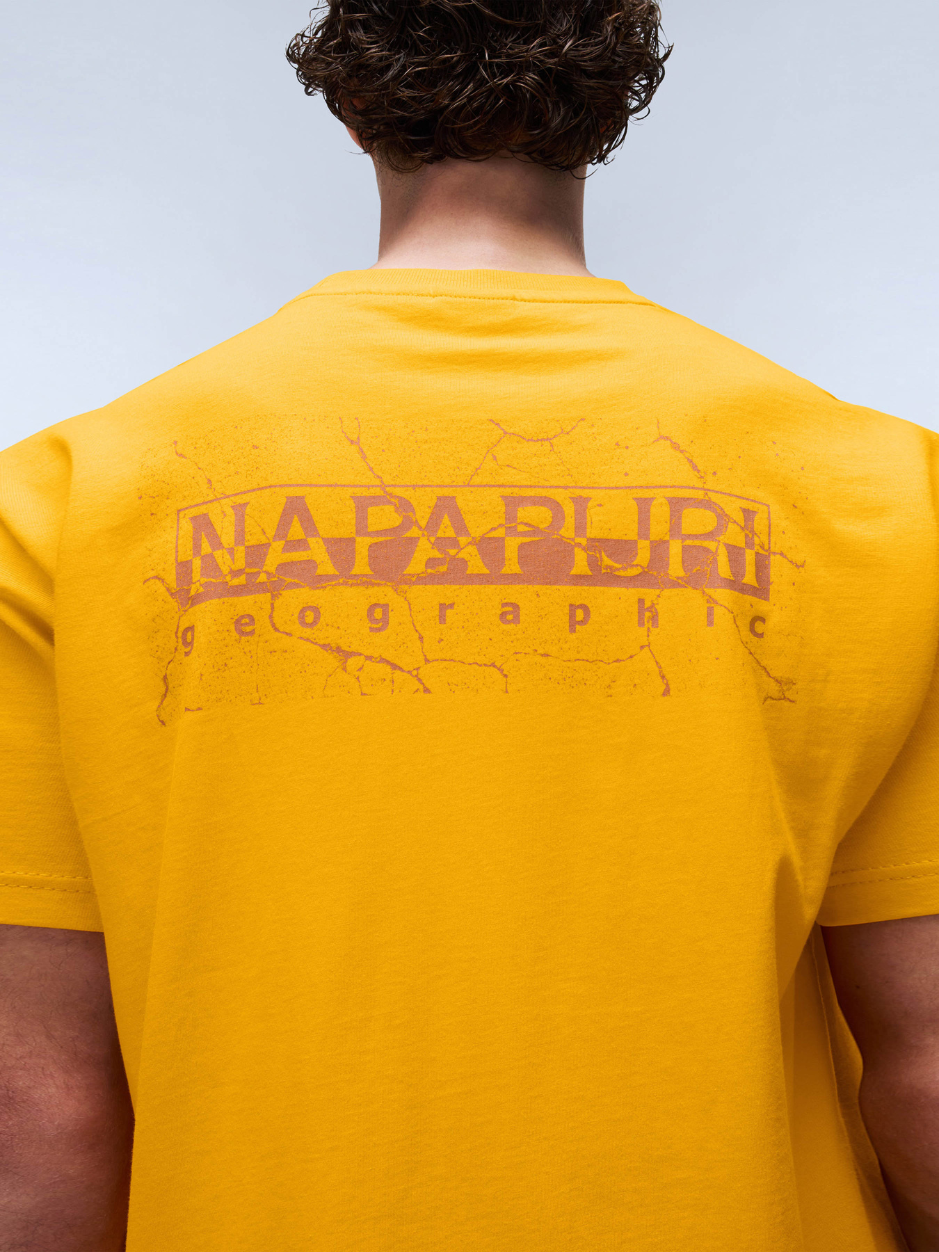 Футболка Napapijri S-Albula Ss модель NP0A4I34A671 Футболка Napapijri S-Albula Ss модель NP0A4I34A671 Фото