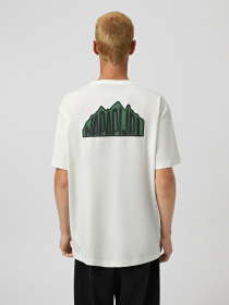 Футболка Napapijri S-Linth Ss модель NP0A4I392061 Фото