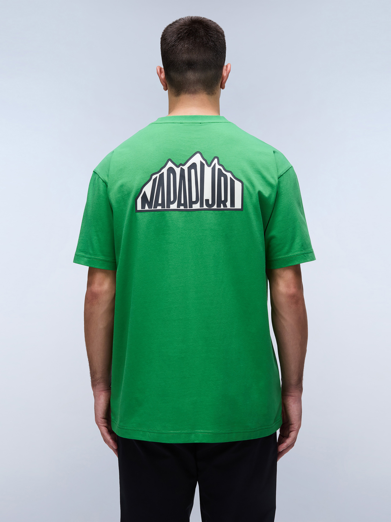 Футболка Napapijri S-Linth Ss модель NP0A4I39G1T1 Фото