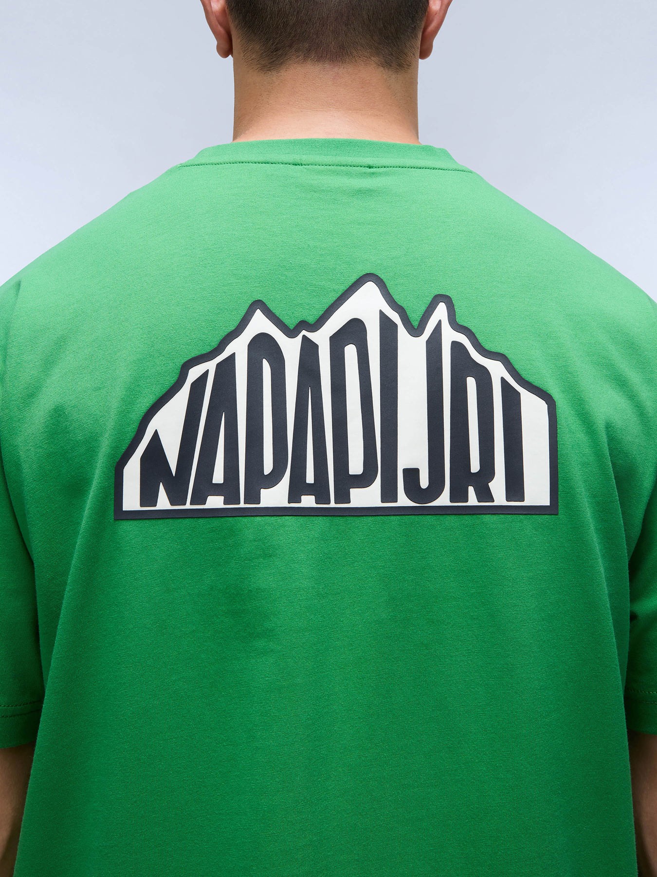 Футболка Napapijri S-Linth Ss модель NP0A4I39G1T1 Фото