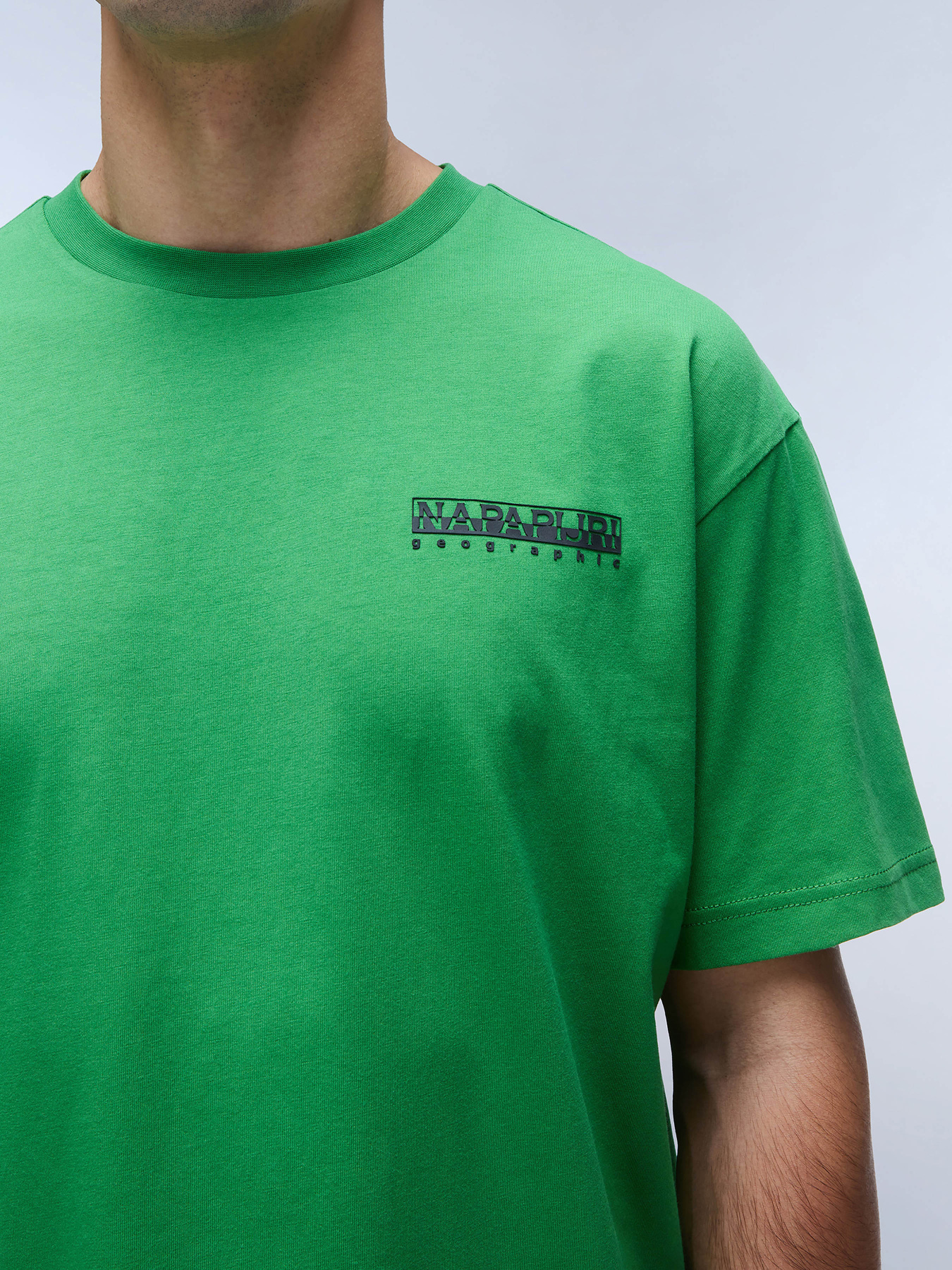 Футболка Napapijri S-Linth Ss модель NP0A4I39G1T1 Фото