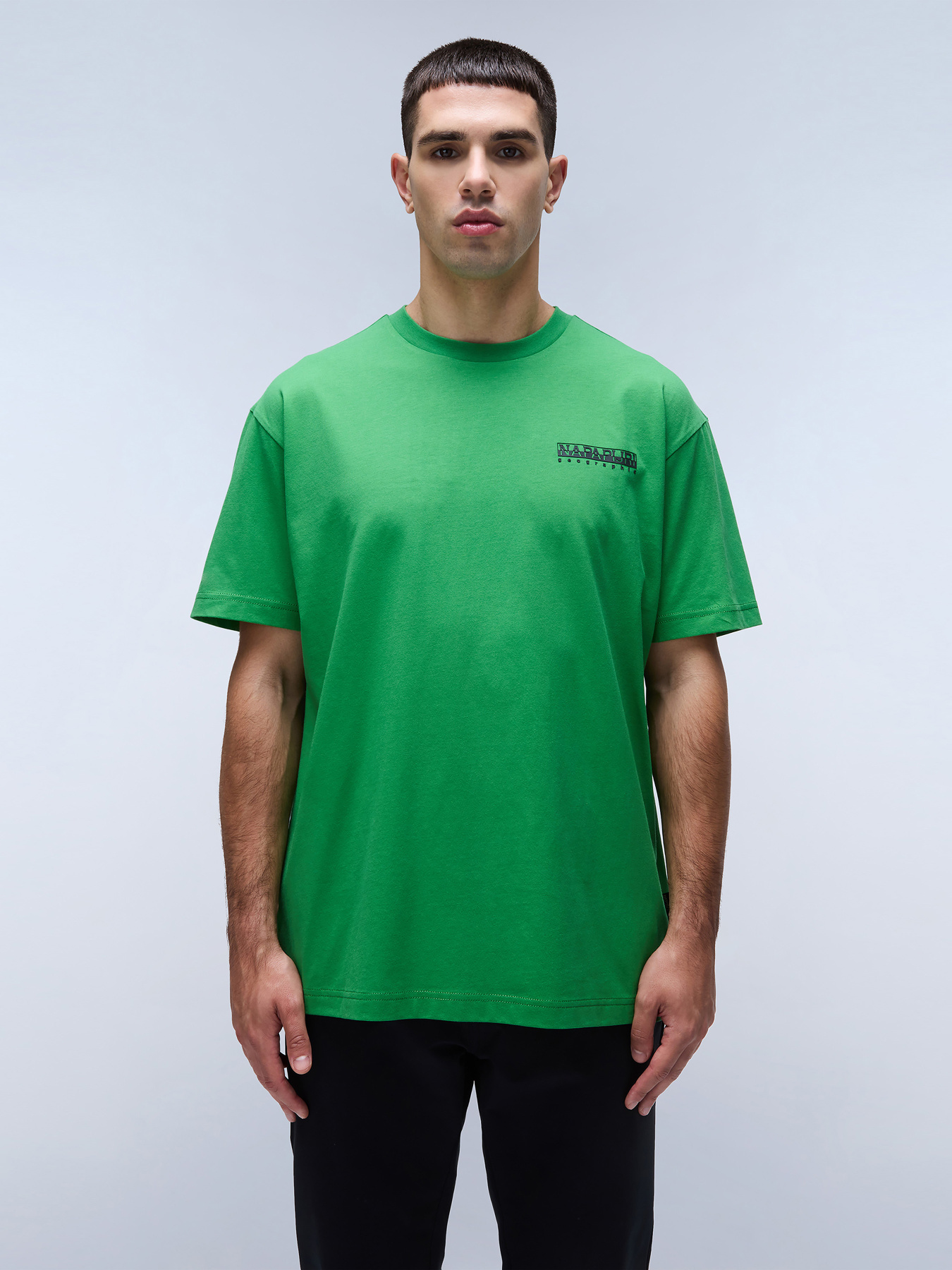 Футболка Napapijri S-Linth Ss модель NP0A4I39G1T1 Фото