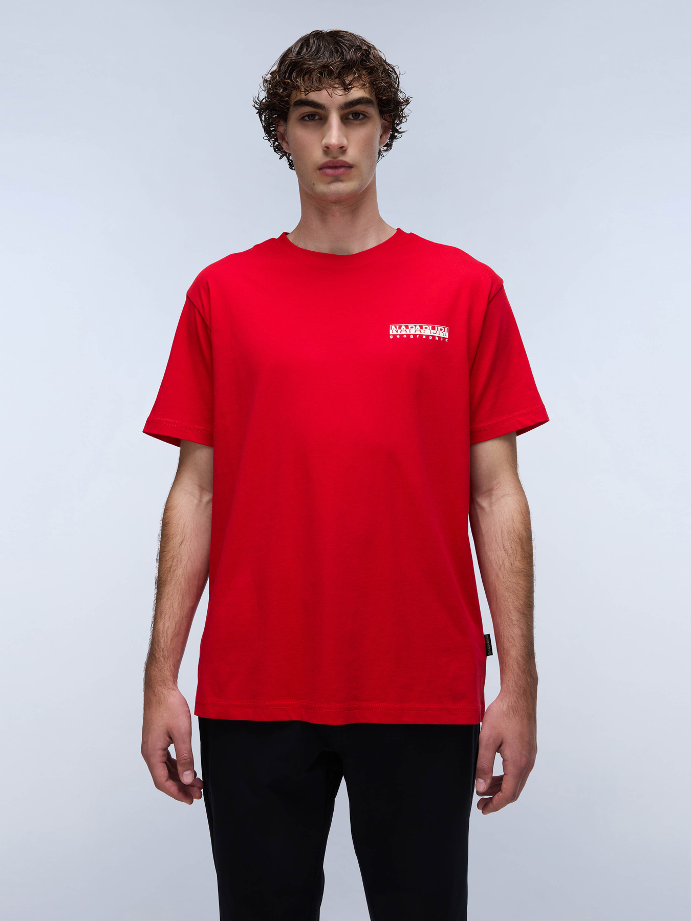 Футболка Napapijri S-Linth Ss модель NP0A4I39R061 Фото