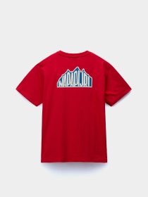 Футболка Napapijri S-Linth Ss модель NP0A4I39R061 Фото