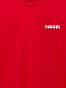 Футболка Napapijri S-Linth Ss модель NP0A4I39R061 Фото