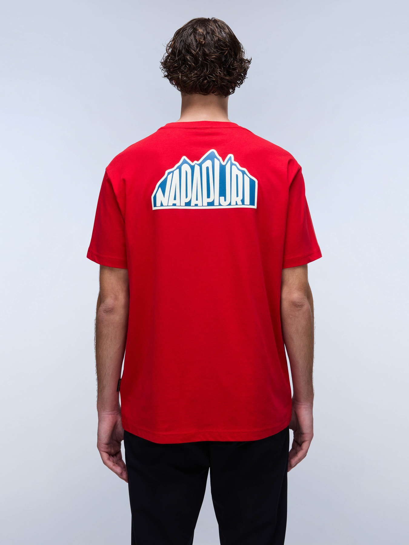 Футболка Napapijri S-Linth Ss модель NP0A4I39R061 Фото