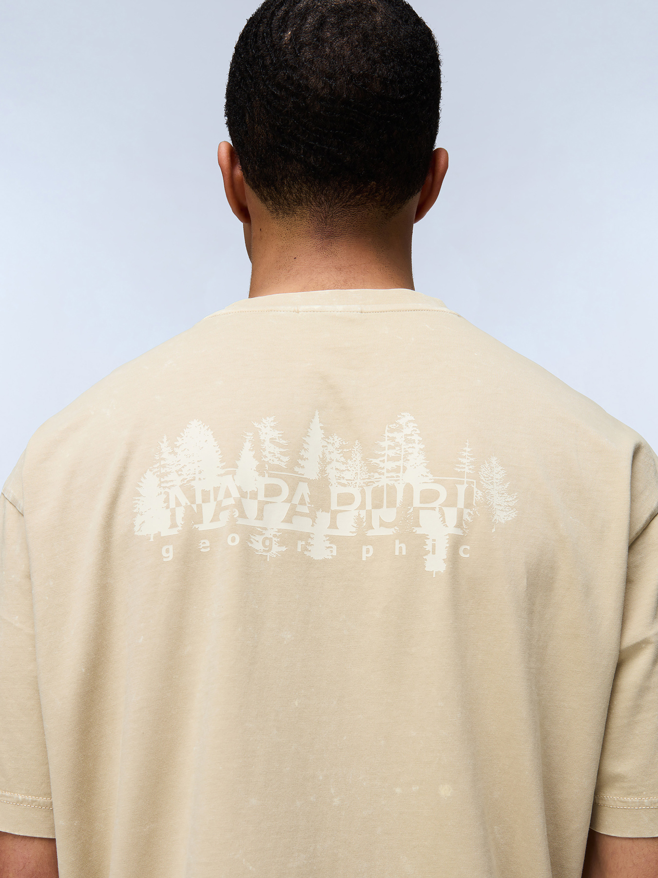 Футболка Napapijri S-Argient Ss модель NP0A4I3BN901 Фото