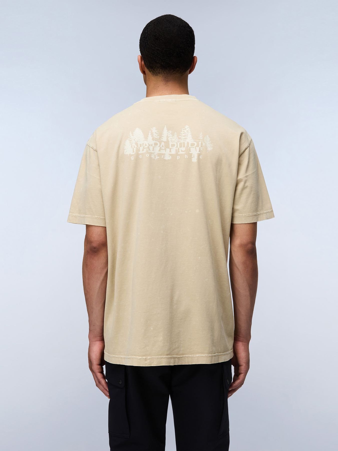 Футболка Napapijri S-Argient Ss модель NP0A4I3BN901 Футболка Napapijri S-Argient Ss модель NP0A4I3BN901 Фото