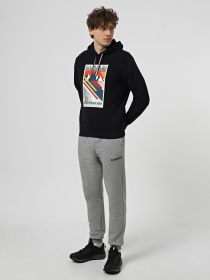 Худи Napapijri B-Portalet модель NP0A4I530411 Фото