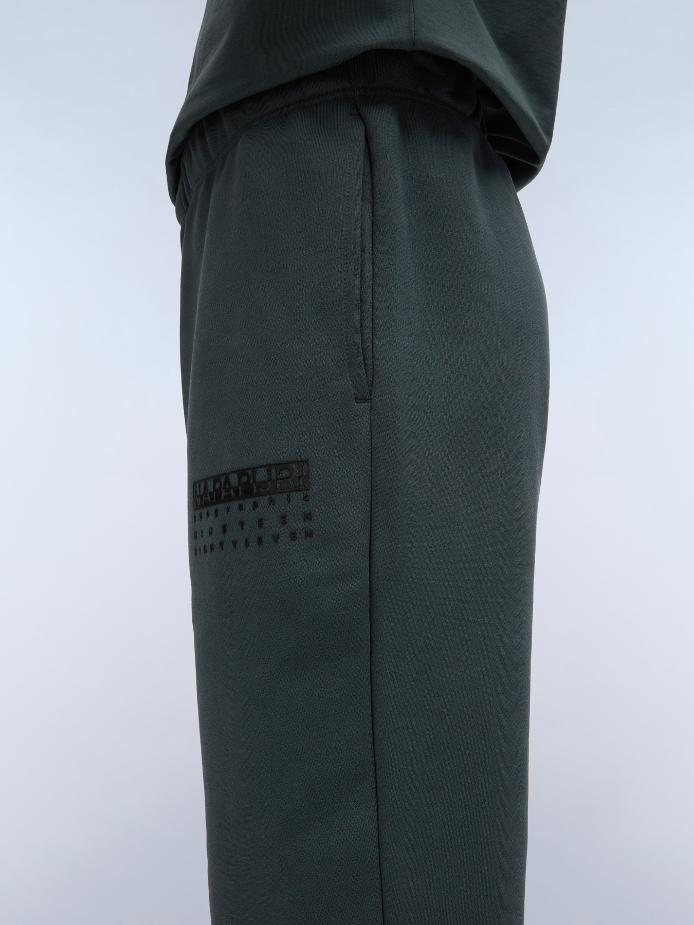 Штаны спортивные Napapijri M-Premium модель NP0A4I6PG1S1 Фото